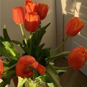 Meet your Posher, Gabriela